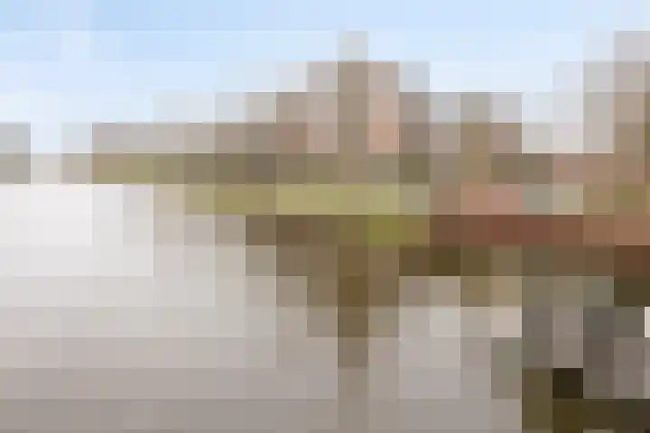 Voordorp 59 Leiderdorp thumbnail 19