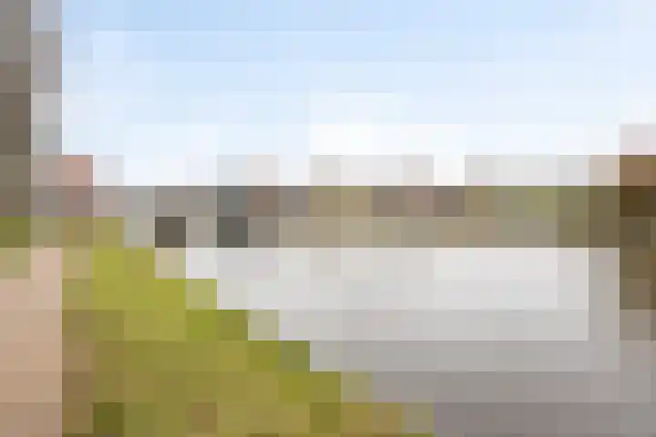 Voordorp 59 Leiderdorp thumbnail 20