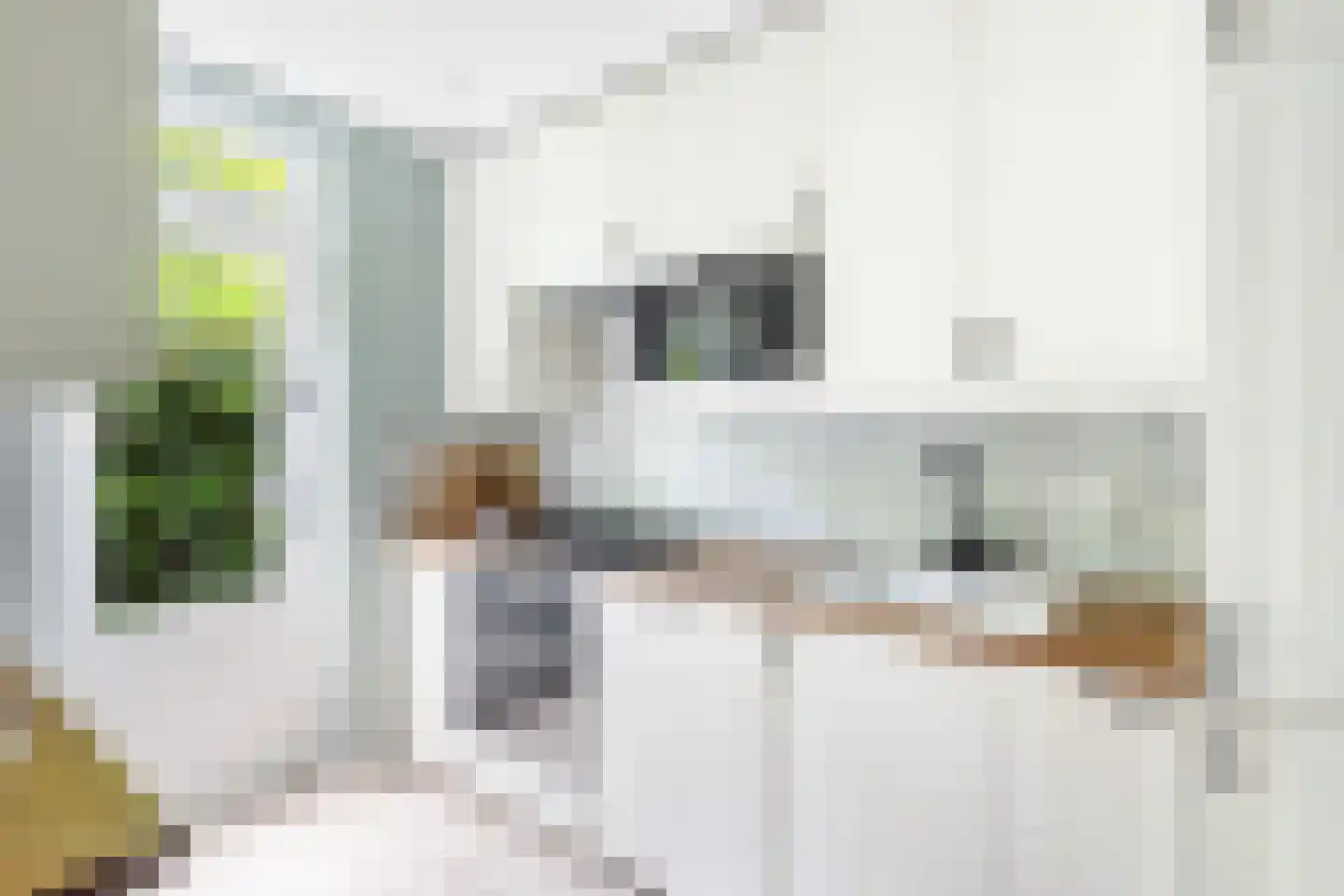 Voordorpsedijk 61 Groenekan thumbnail 19