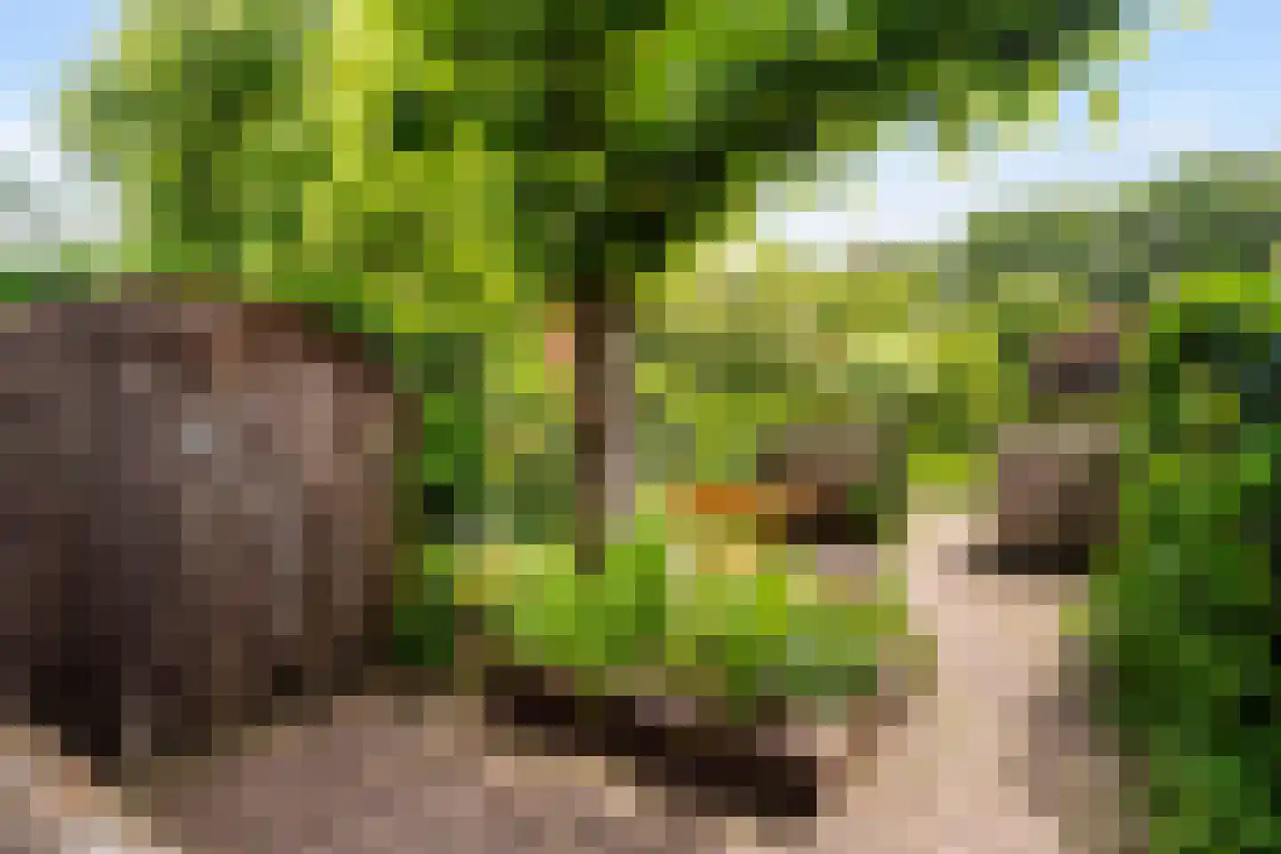 Voordorpsedijk 61 Groenekan thumbnail 35