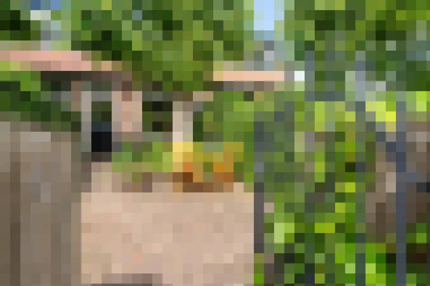 Voordorpsedijk 61 Groenekan thumbnail 36