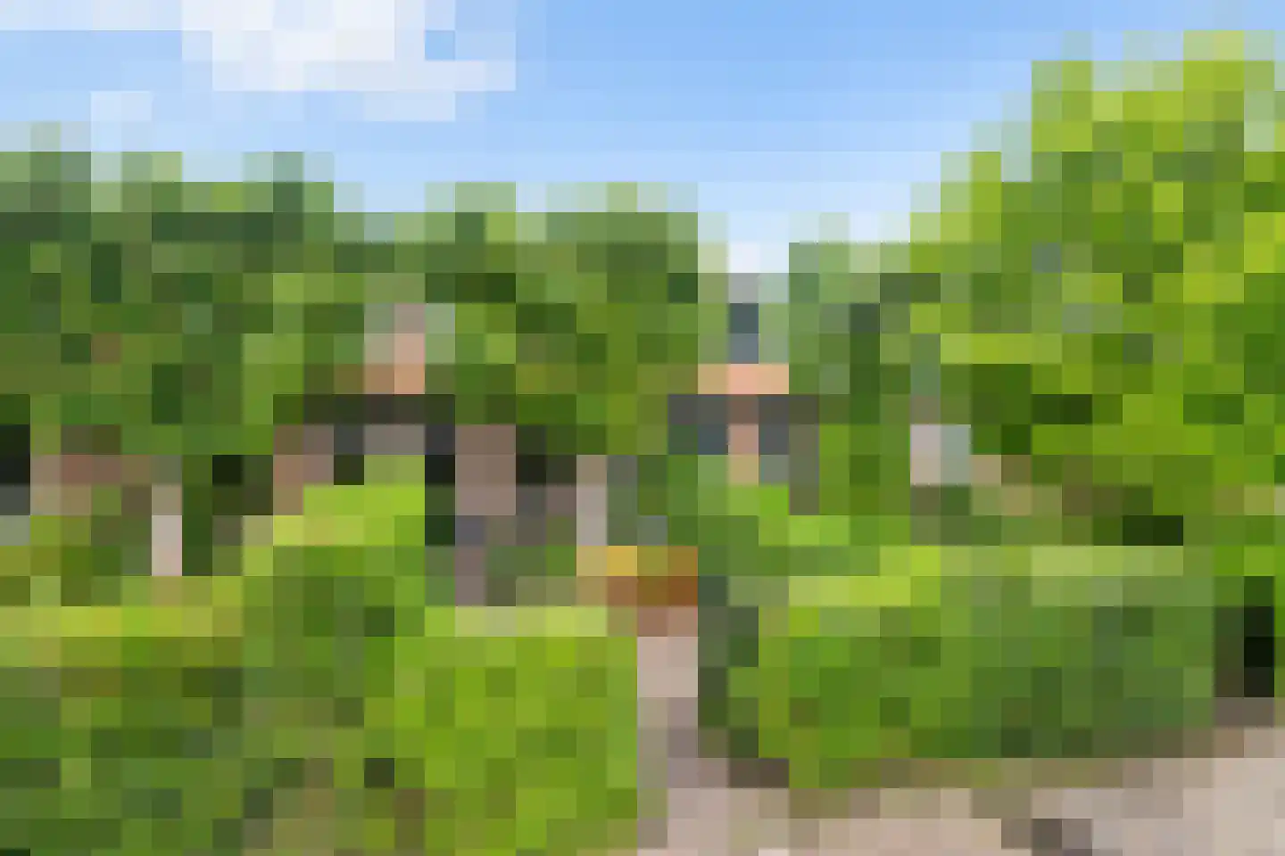 Voordorpsedijk 61 Groenekan thumbnail 37