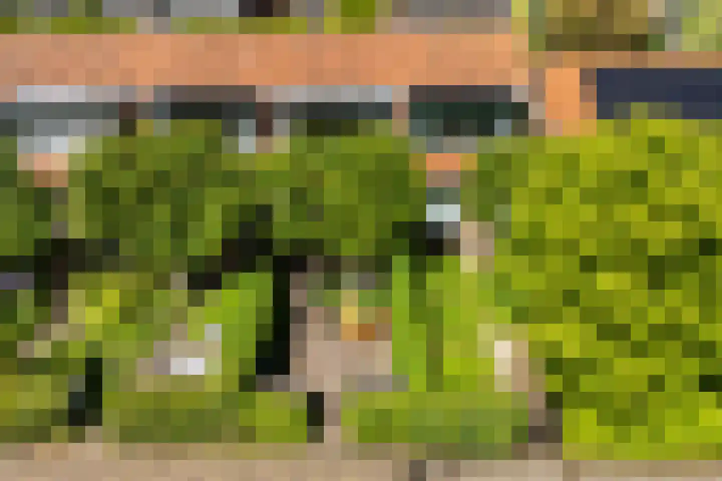 Voordorpsedijk 61 Groenekan thumbnail 38