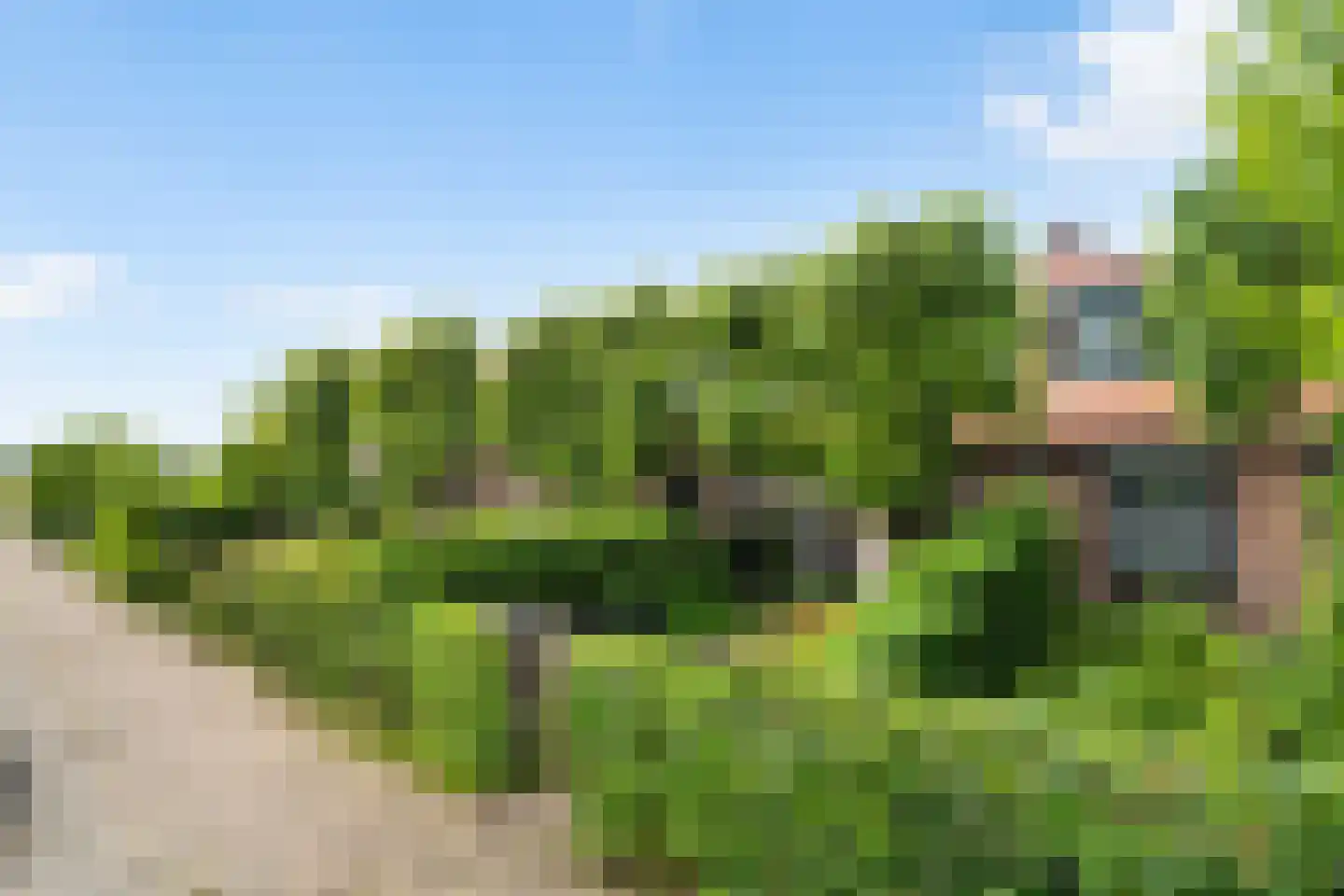 Voordorpsedijk 61 Groenekan thumbnail 39