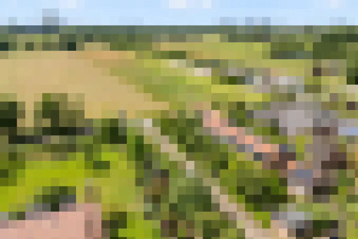 Voordorpsedijk 61 Groenekan thumbnail 41
