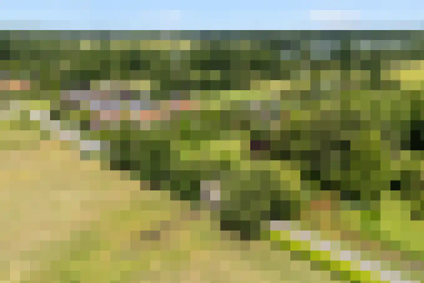 Voordorpsedijk 61 Groenekan thumbnail 6