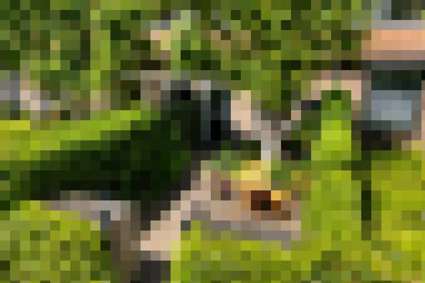 Voordorpsedijk 61 Groenekan thumbnail 7