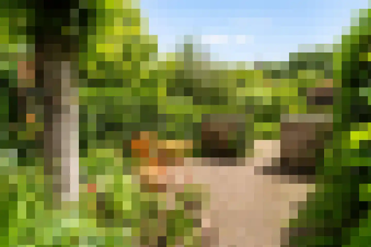 Voordorpsedijk 61 Groenekan thumbnail 8
