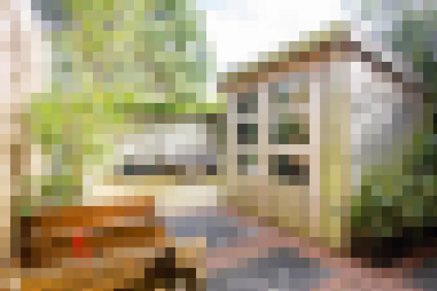 Voorduinstraat 30 Haarlem thumbnail 22