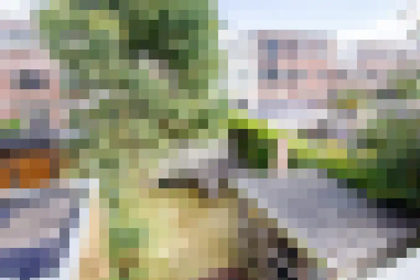 Voorduinstraat 30 Haarlem thumbnail 34