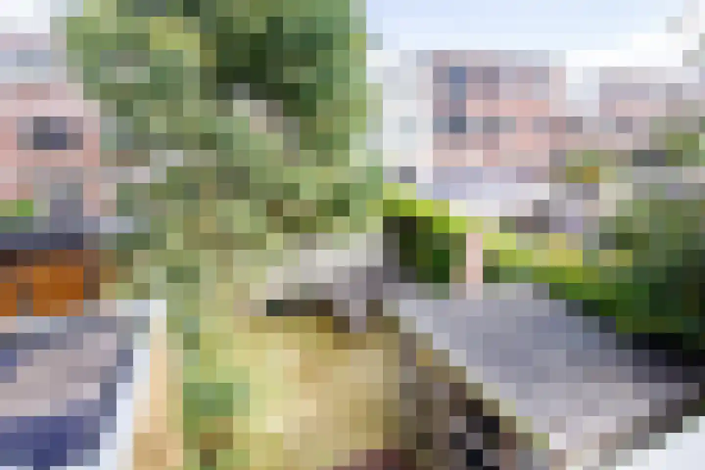 Voorduinstraat 30 Haarlem thumbnail 35