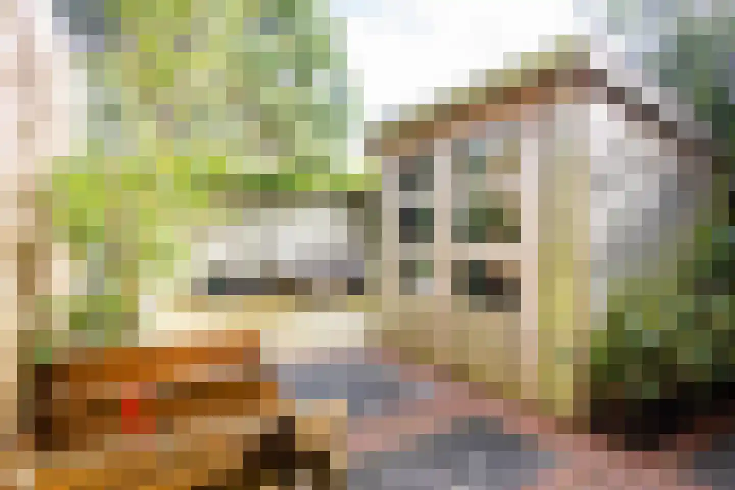 Voorduinstraat 30 Haarlem thumbnail 5