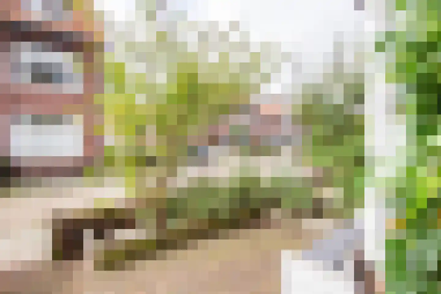 Voorduinstraat 30 Haarlem thumbnail 52