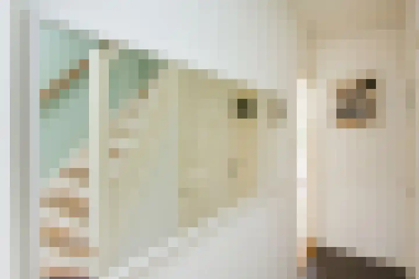 Voorduinstraat 30 Haarlem thumbnail 8