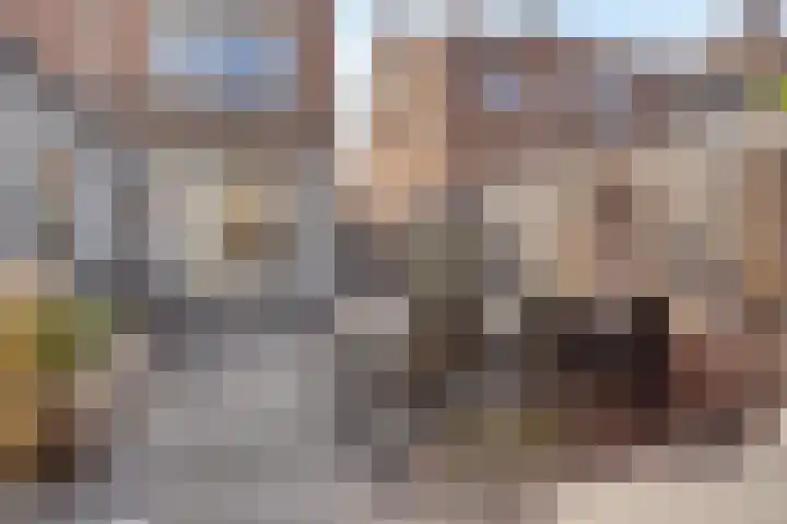Vooreinde 14 Waalwijk thumbnail 23