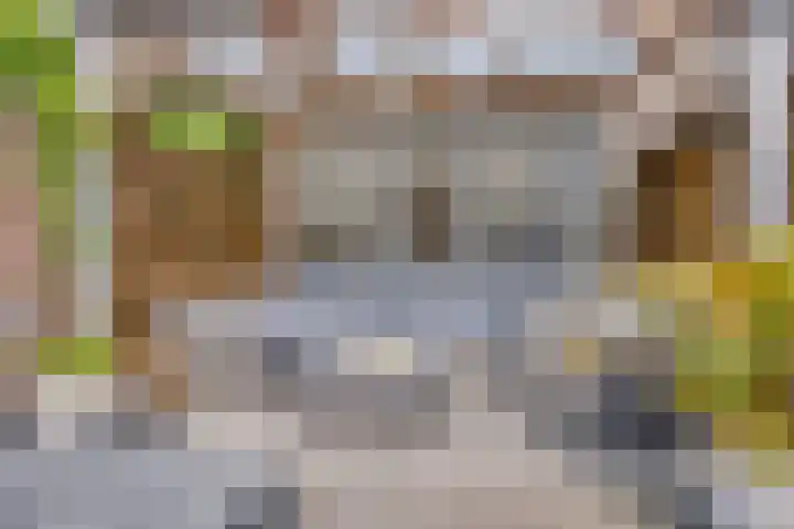 Vooreinde 14 Waalwijk thumbnail 25