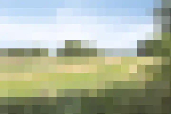 Vooreinde 14 Waalwijk thumbnail 29
