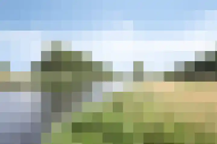 Vooreinde 14 Waalwijk thumbnail 30