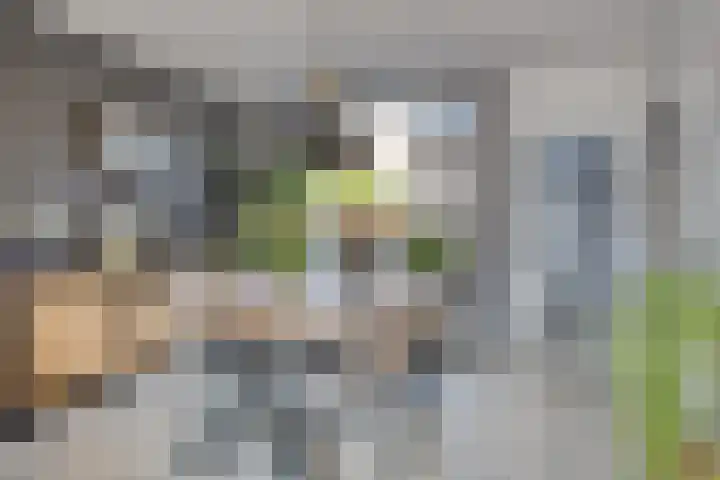 Vooreinde 14 Waalwijk thumbnail 6