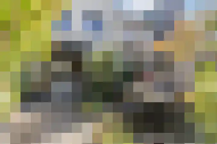Vooreinde 14 Waalwijk thumbnail 8
