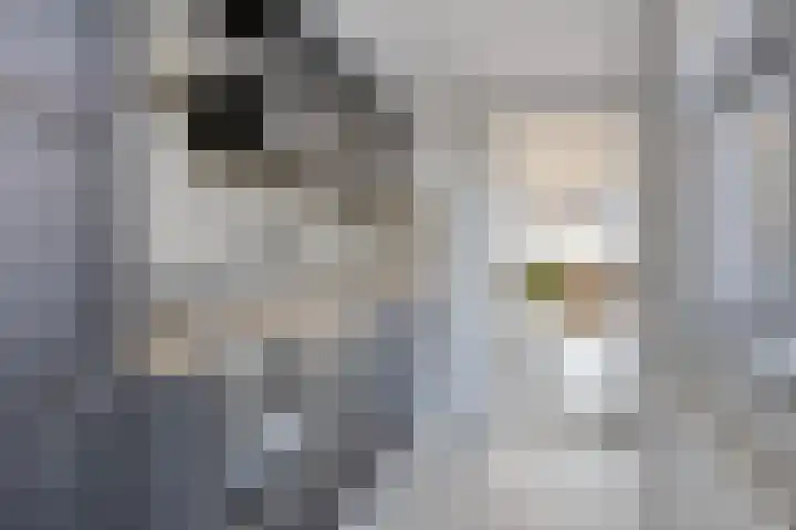 Vooreinde 14 Waalwijk thumbnail 9