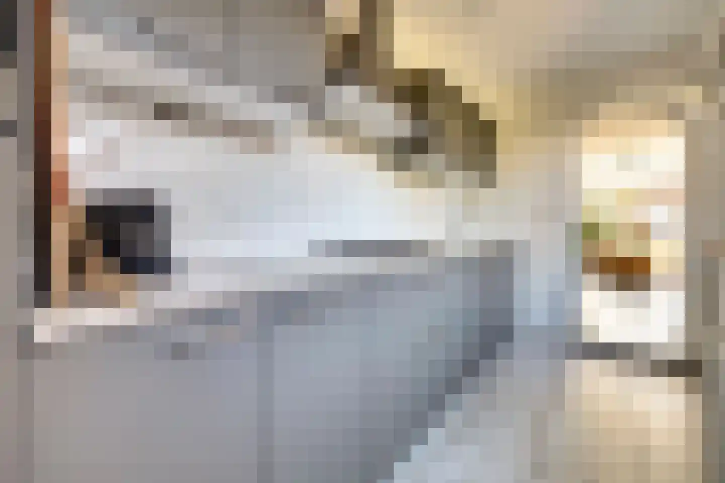 Vooreinde 22 Waalwijk thumbnail 10