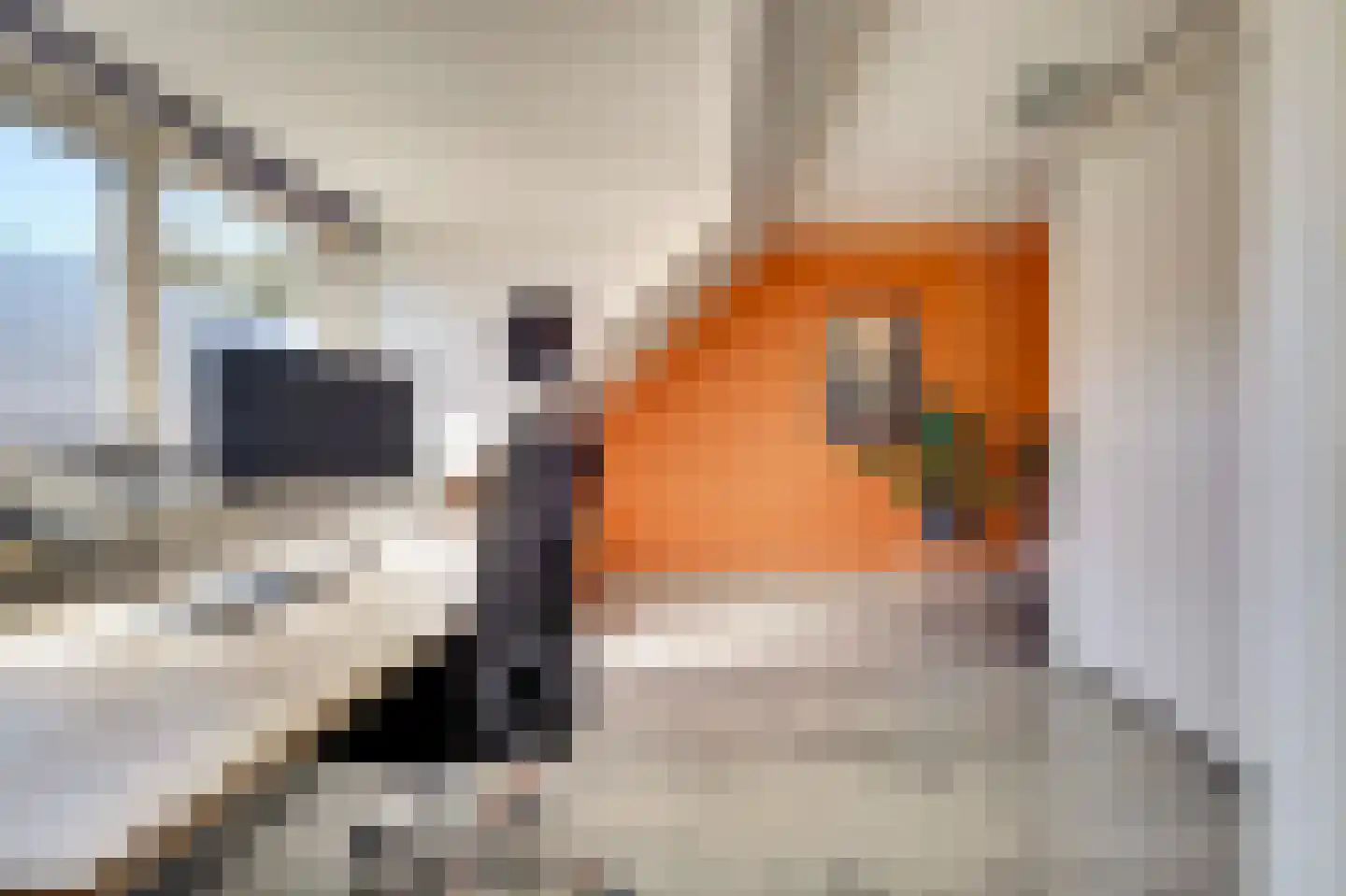 Vooreinde 22 Waalwijk thumbnail 25