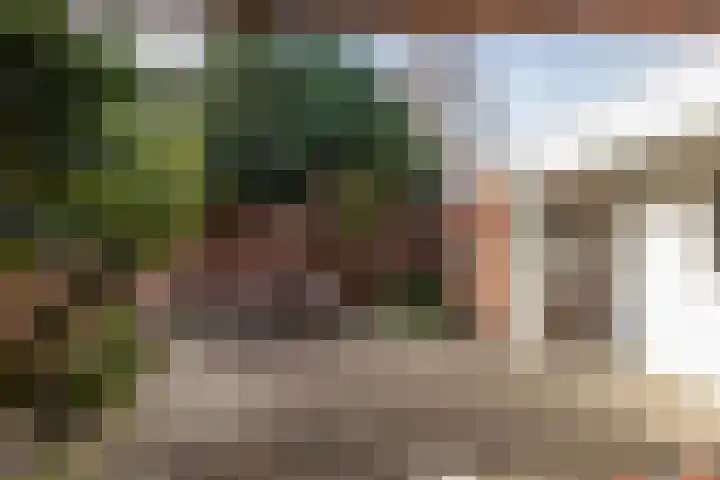 Vooreinde 5 Waalwijk thumbnail 30