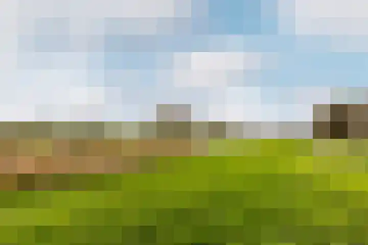 Vooreinde 5 Waalwijk thumbnail 41