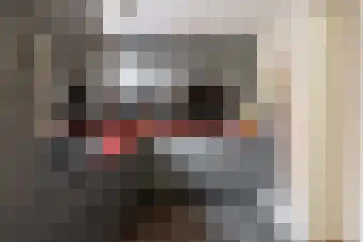 Vooreinde 5 Waalwijk thumbnail 7