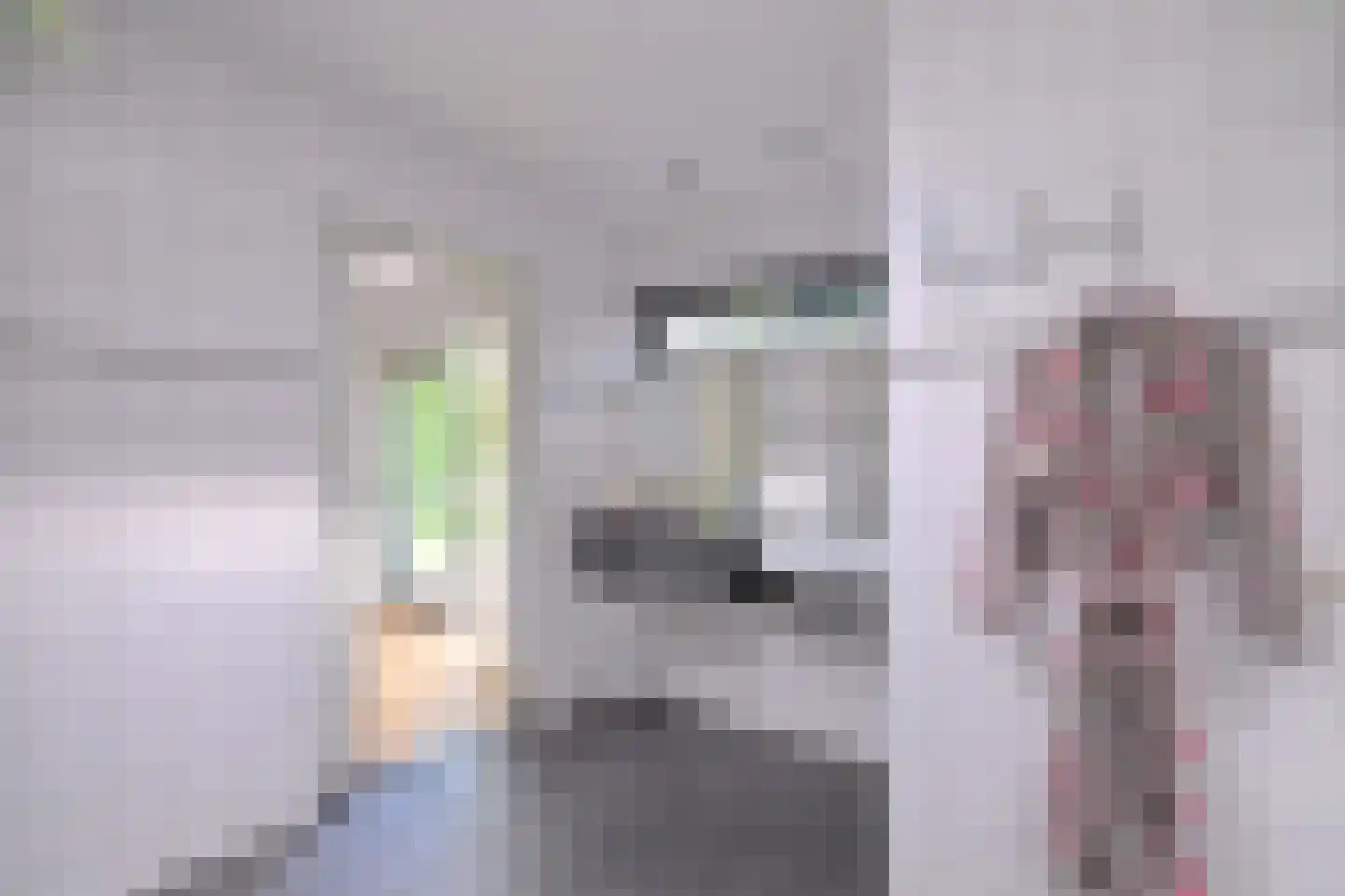 Voorende 16 Gorssel thumbnail 18