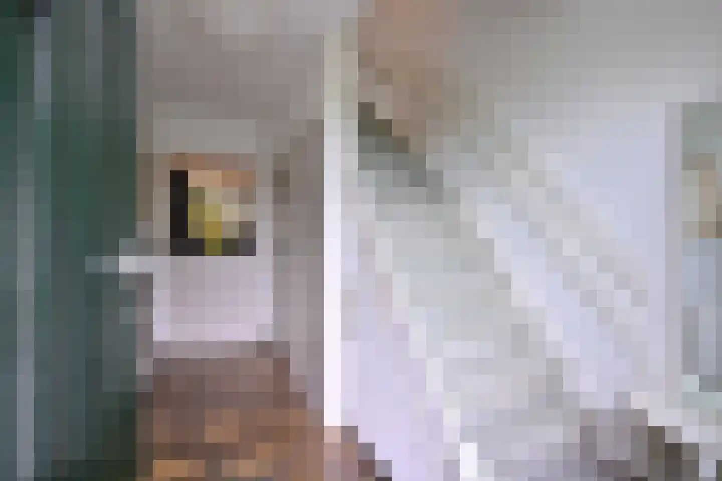 Voorende 16 Gorssel thumbnail 22
