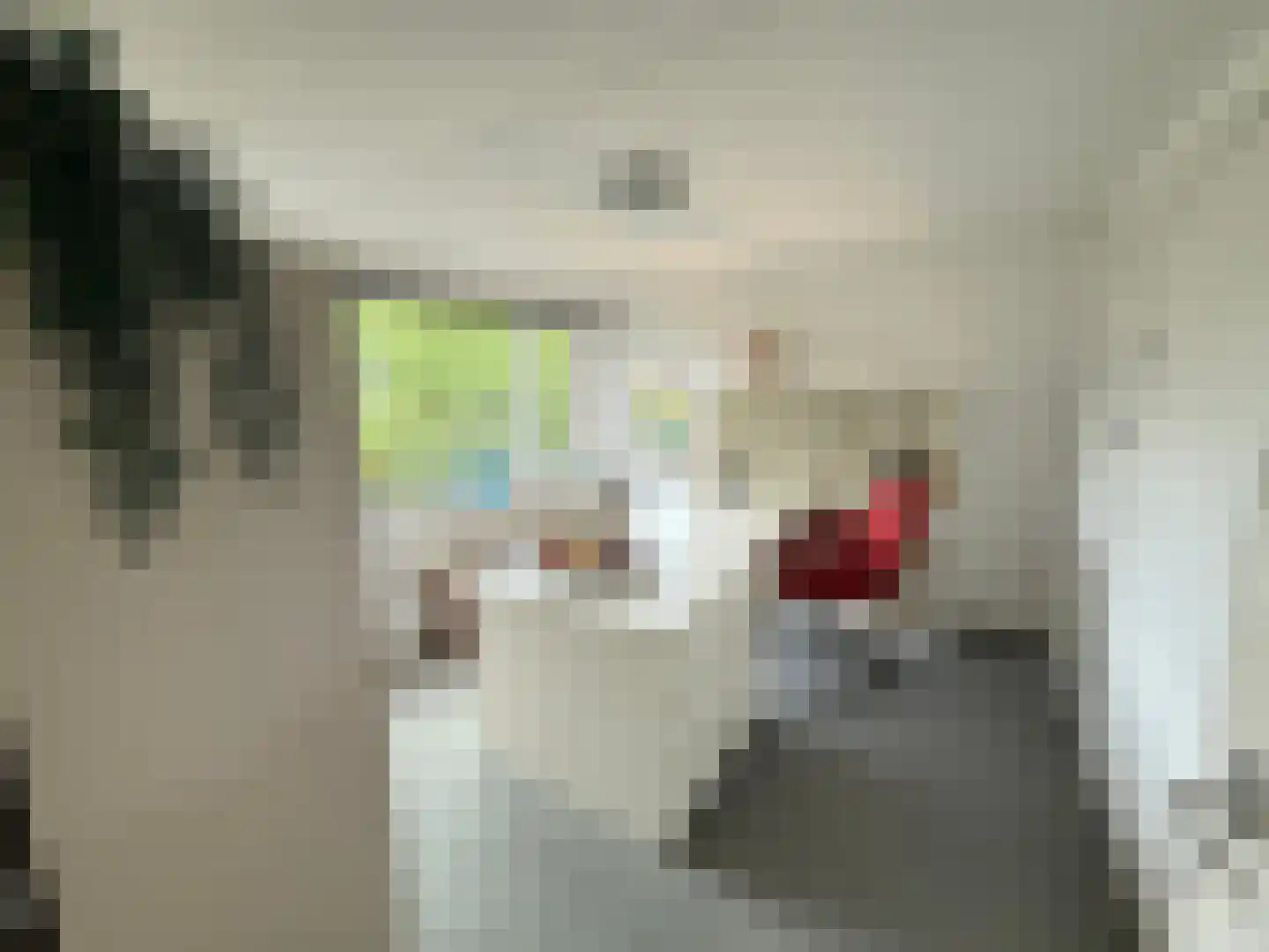 Voorende 16 Gorssel thumbnail 24