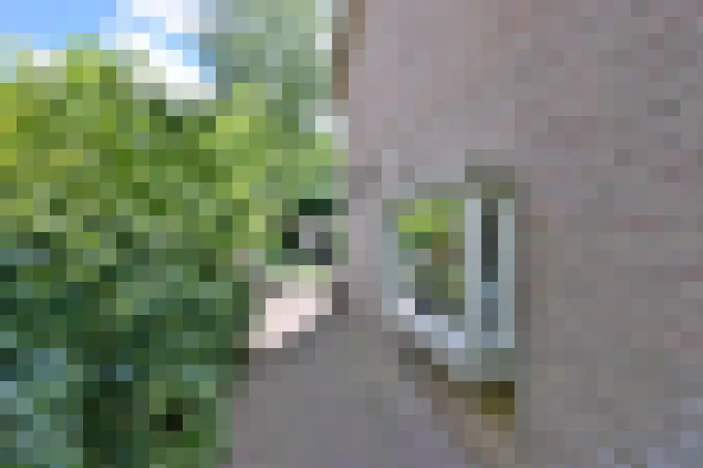 Voorende 16 Gorssel thumbnail 39