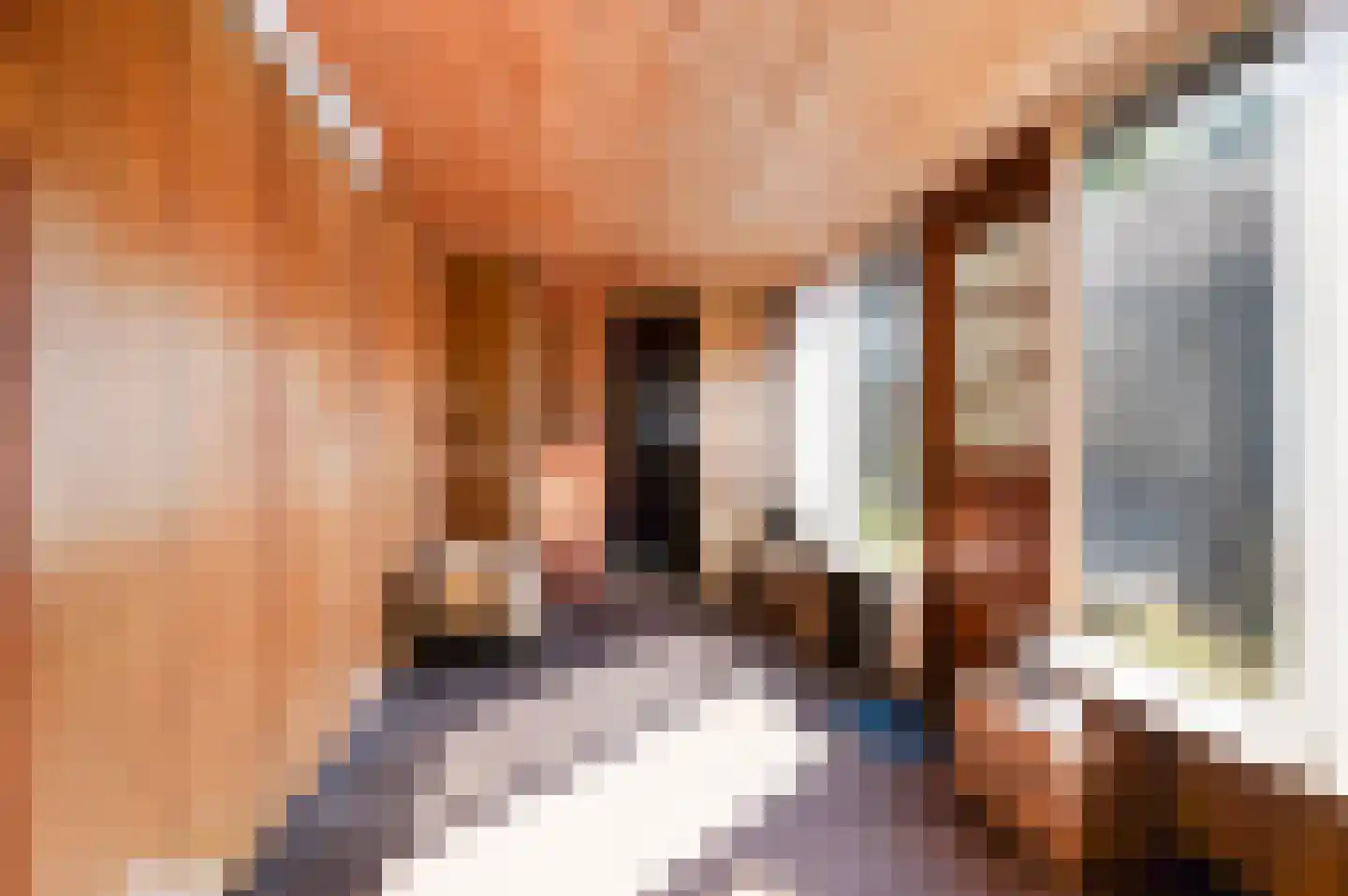 Voorende 25 Gorssel thumbnail 12