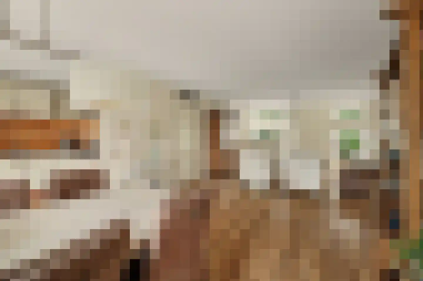 Voorerf 16 Tholen thumbnail 11