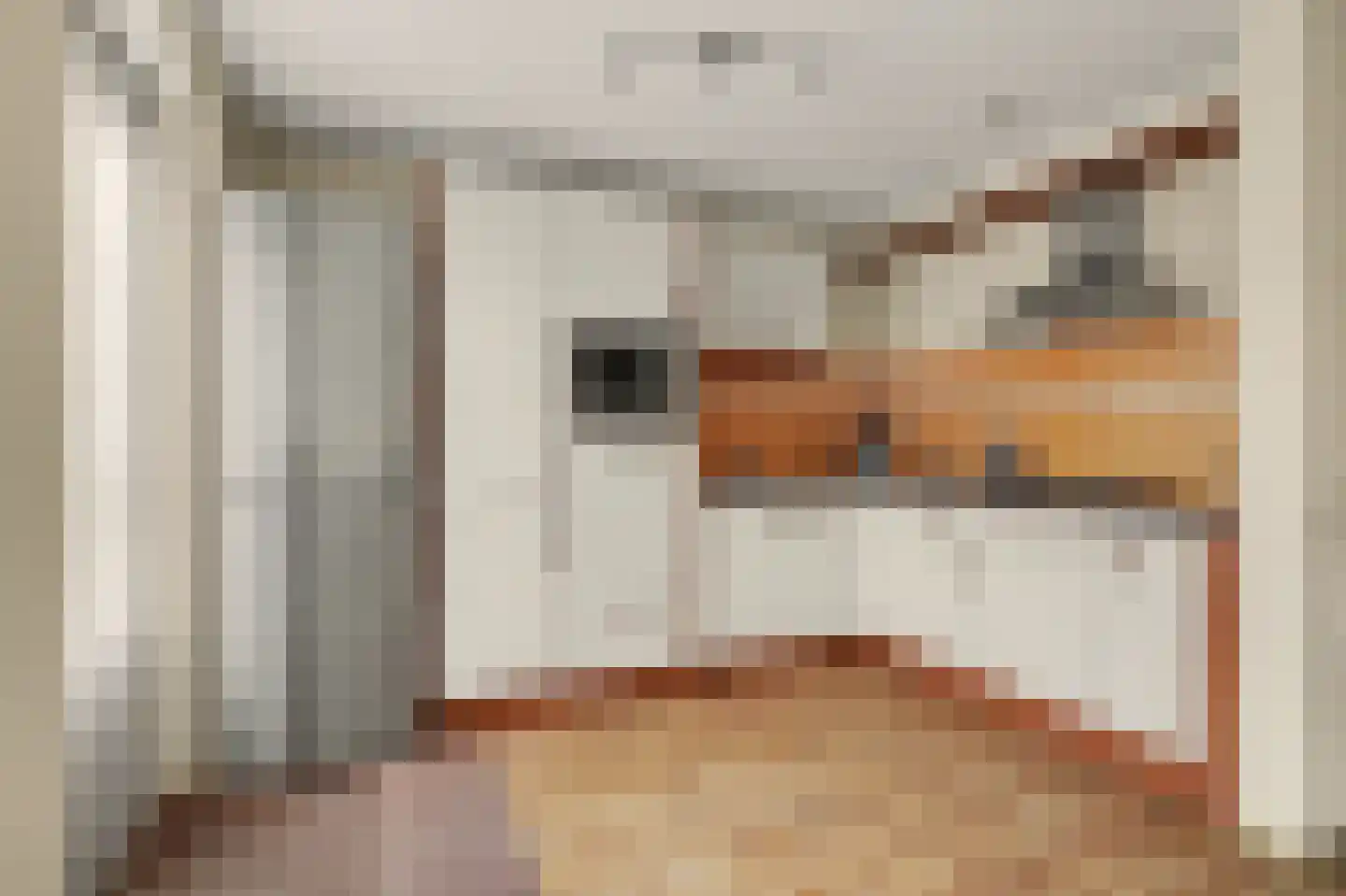 Voorerf 16 Tholen thumbnail 12