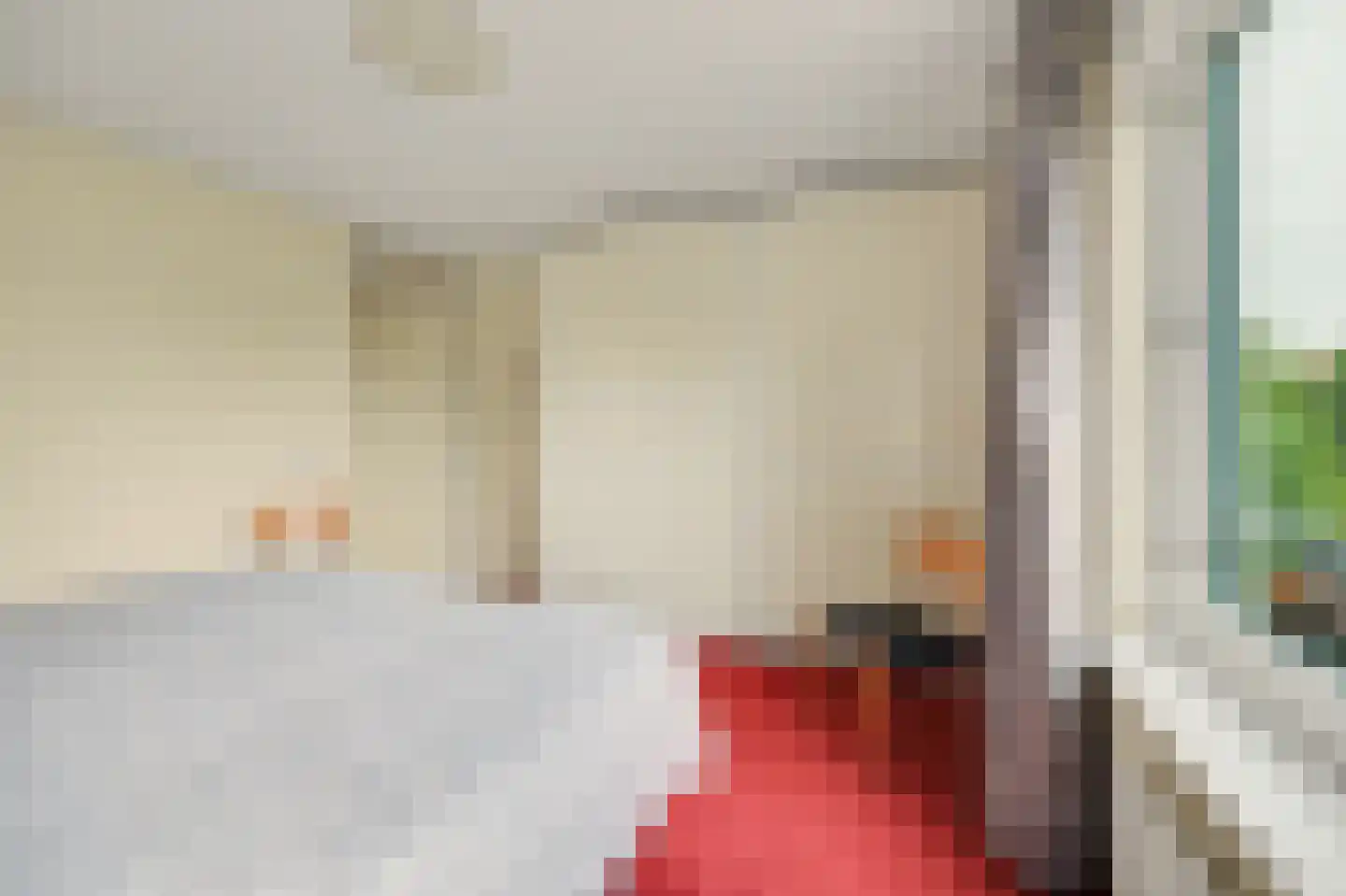 Voorerf 16 Tholen thumbnail 18