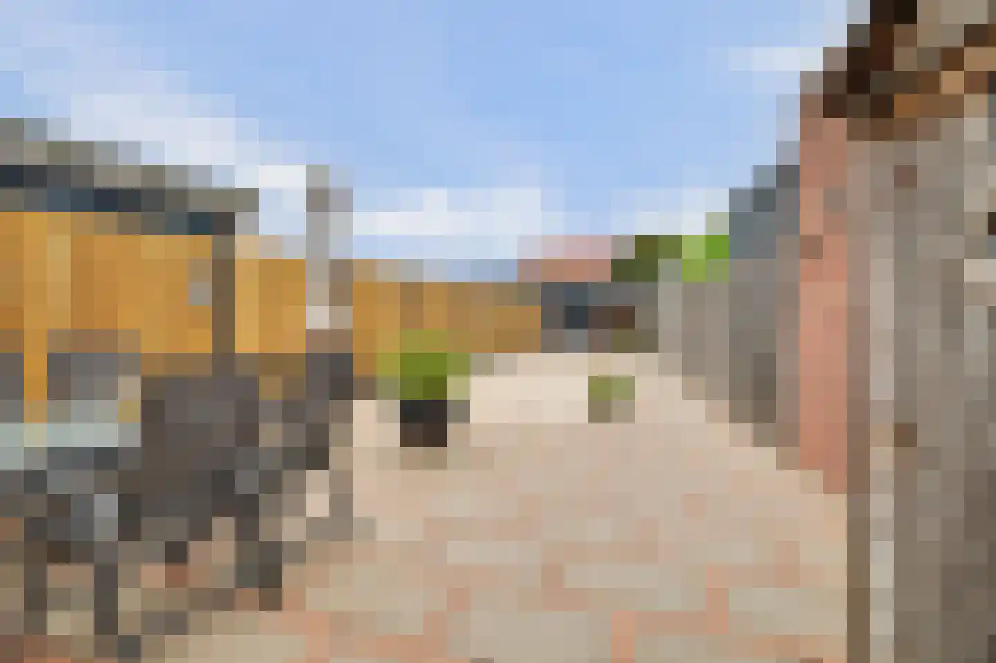 Voorerf 16 Tholen thumbnail 24