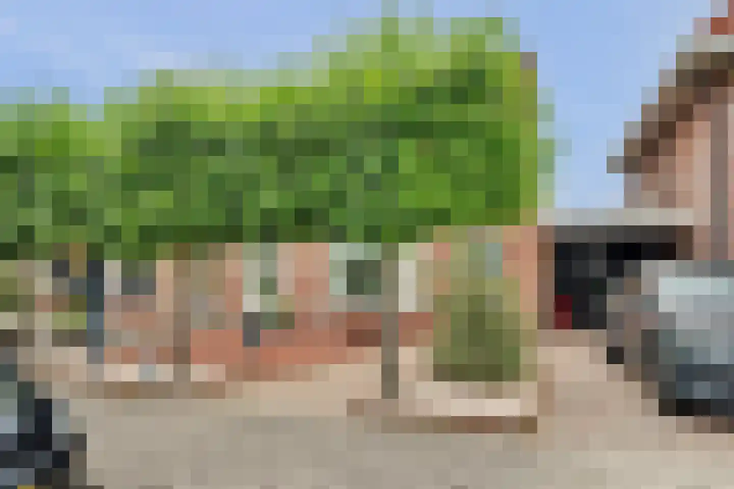 Voorerf 16 Tholen foto 3