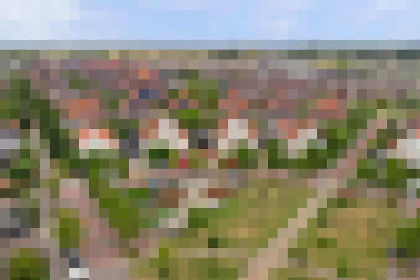 Voorerf 16 Tholen thumbnail 36