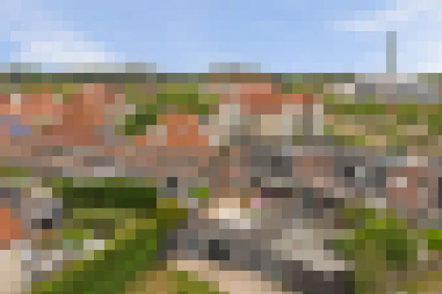 Voorerf 16 Tholen thumbnail 38