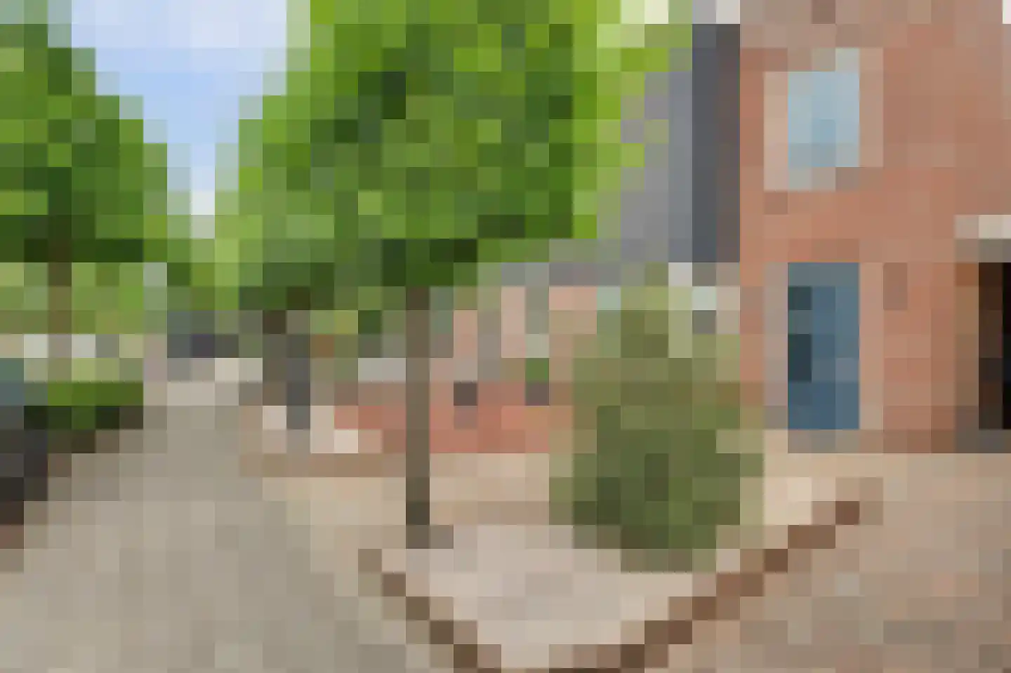 Voorerf 16 Tholen thumbnail 4