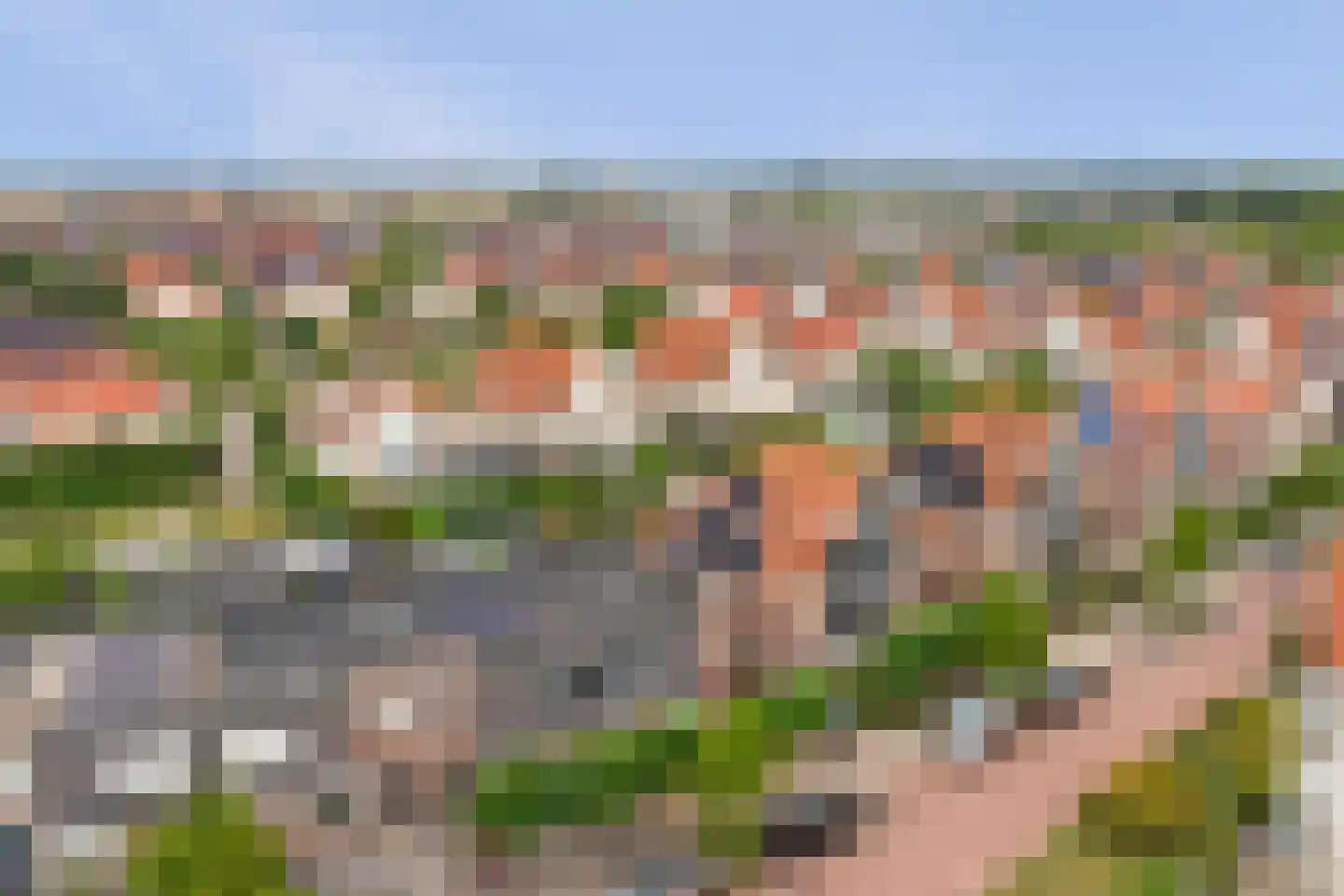 Voorerf 16 Tholen thumbnail 41
