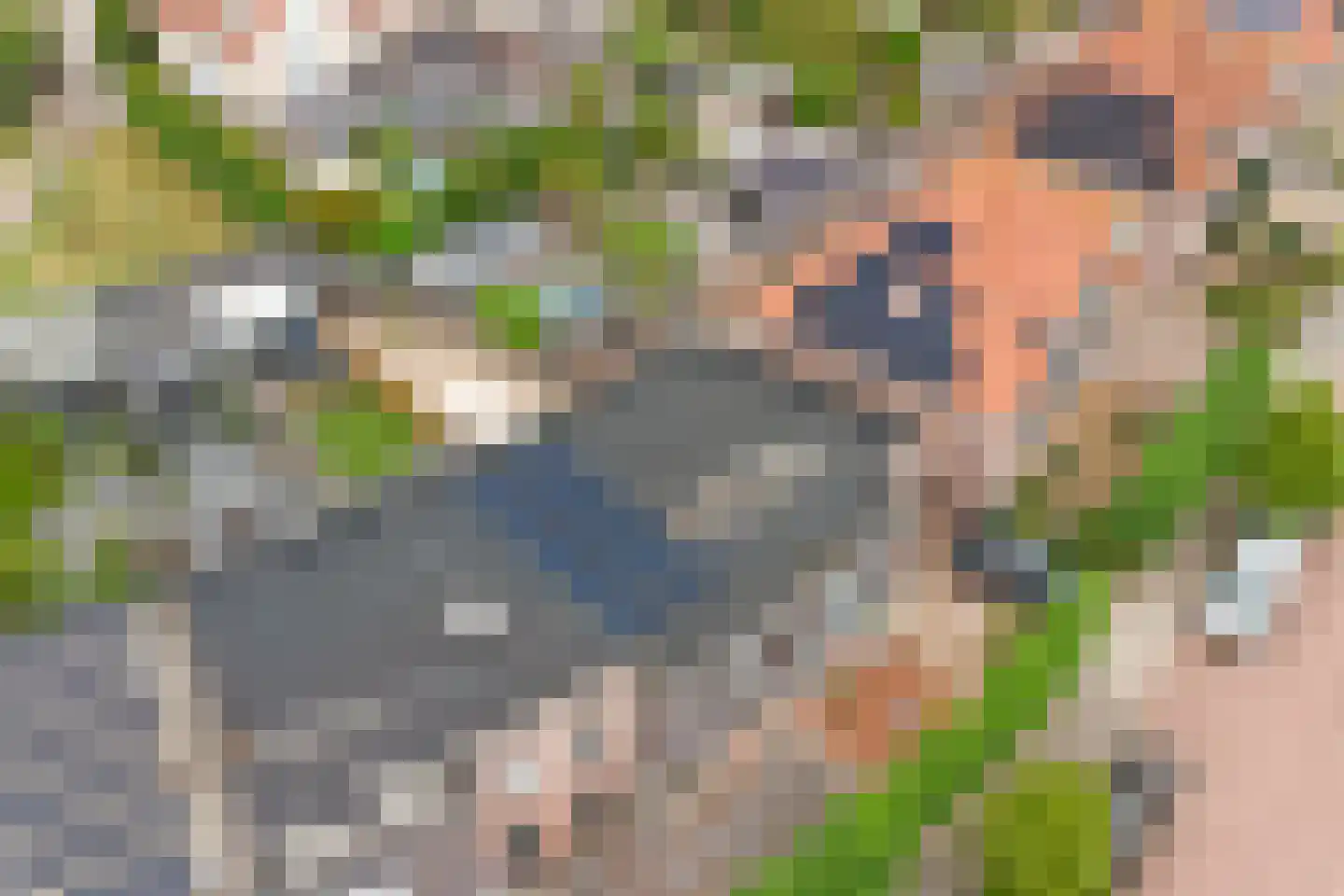 Voorerf 16 Tholen thumbnail 42