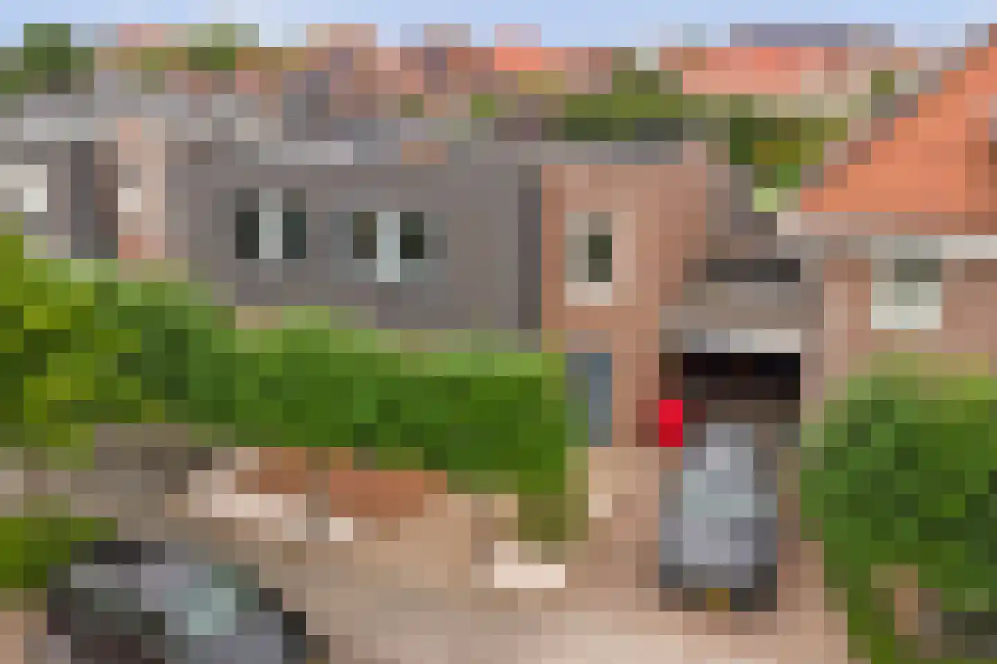 Voorerf 16 Tholen thumbnail 43
