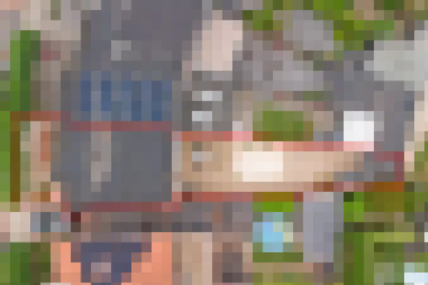 Voorerf 16 Tholen thumbnail 44