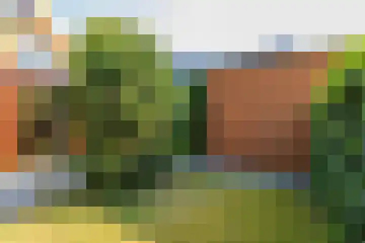 Voorgracht 17 Vijfhuizen thumbnail 29
