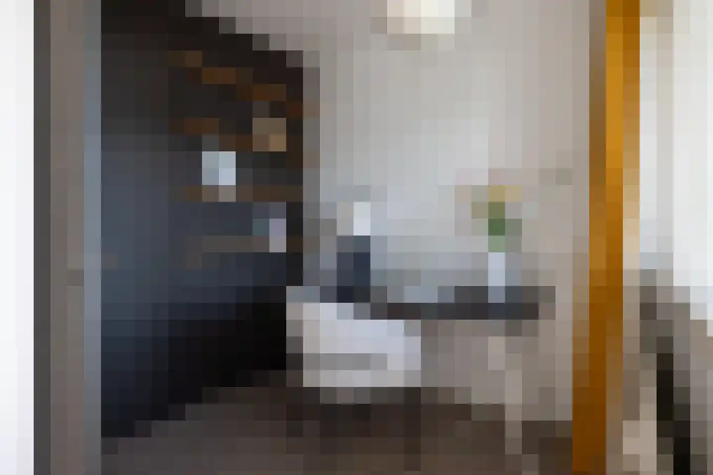 Voorhaven 122 Rotterdam thumbnail 23