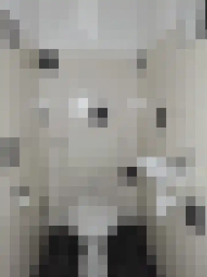 Voorhaven 124 Rotterdam thumbnail 16